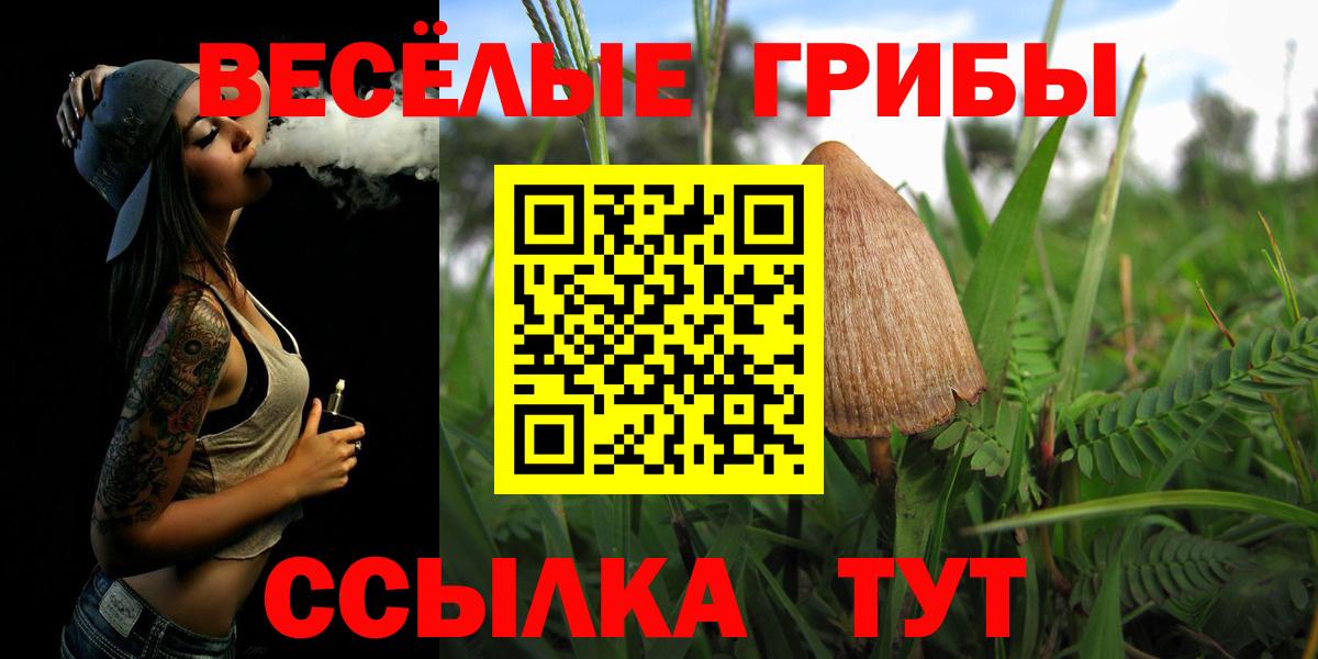 Псилоцибиновые грибы Cubensis Коркино